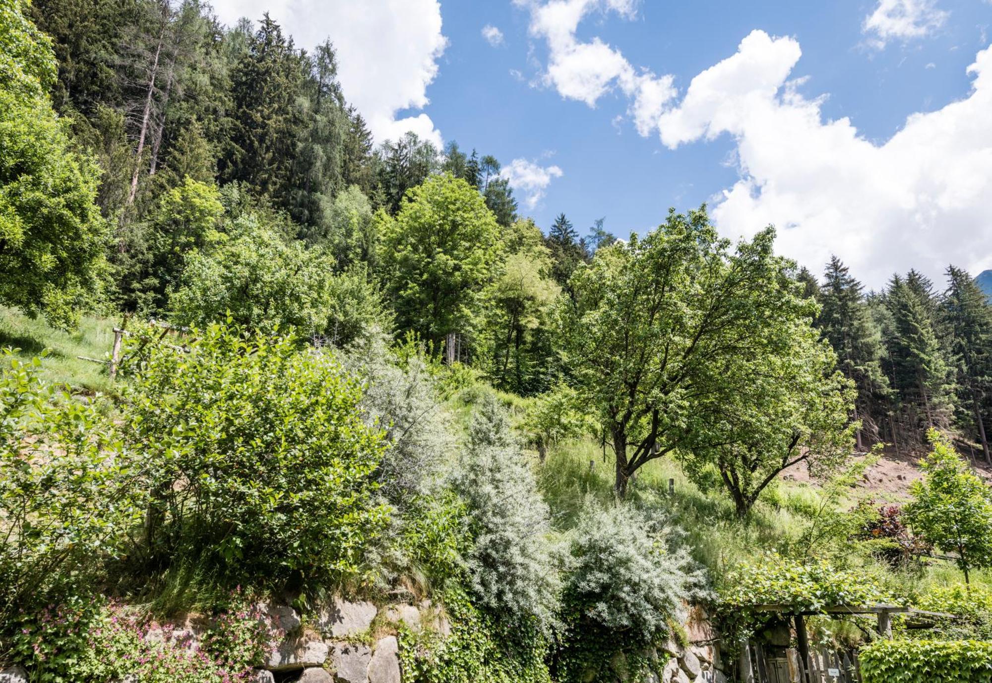 Naturresidenz Mair Zu Hof Campo Tures Eksteriør bilde